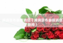滴滴宣布最新消息（滴滴宣布最新消息新闻）