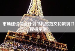 市场建设商业计划书代写范文和策划书模板示例
