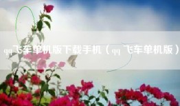 qq飞车单机版下载手机（qq 飞车单机版）