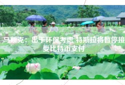 马斯克：出于环保考虑 特斯拉将暂停接受比特币支付
