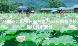 马斯克：出于环保考虑 特斯拉将暂停接受比特币支付