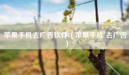 苹果手机去广告软件（苹果手机 去广告）