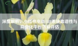 深度解析，小红书电商ERP系统靠谱性与商业化平台效益评估
