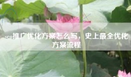 seo推广优化方案怎么写，史上最全优化方案流程
