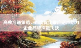 高效沟通策略，百度优化推广话术助力企业品牌声量飞跃