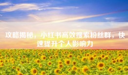 攻略揭秘，小红书高效搜索粉丝群，快速提升个人影响力