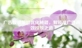广告投放策略优化秘籍，解锁推广通高效投放之道