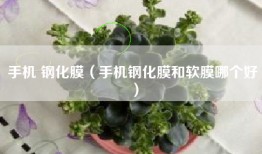 手机 钢化膜（手机钢化膜和软膜哪个好）