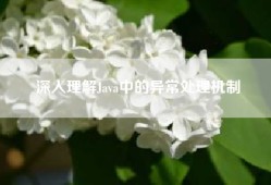 深入理解Java中的异常处理机制