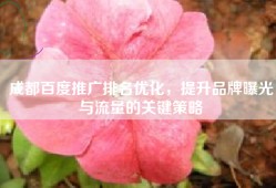 成都百度推广排名优化，提升品牌曝光与流量的关键策略