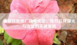 成都百度推广排名优化，提升品牌曝光与流量的关键策略