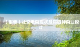 【报告】社交电商现状及其四种商业模式
