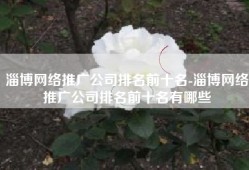 淄博网络推广公司排名前十名-淄博网络推广公司排名前十名有哪些