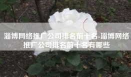 淄博网络推广公司排名前十名-淄博网络推广公司排名前十名有哪些
