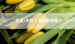 芒麦4手机（麦芒四参数）