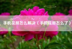 手机花屏怎么解决（手机花屏怎么了）
