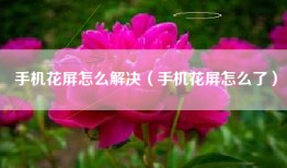 手机花屏怎么解决（手机花屏怎么了）