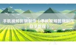 手机视频剪辑制作（手机视频剪辑制作自学教程）