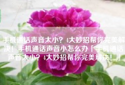 手机通话声音太小？4大妙招帮你完美解决！手机通话声音小怎么办「手机通话声音太小？4大妙招帮你完美解决！」