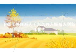 下载手机联系人（怎么导入联系人到新手机）