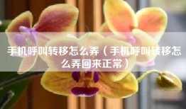 手机呼叫转移怎么弄（手机呼叫转移怎么弄回来正常）