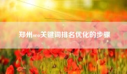 郑州seo关键词排名优化的步骤