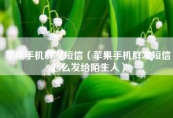 苹果手机群发短信（苹果手机群发短信怎么发给陌生人）