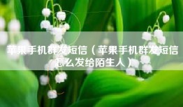苹果手机群发短信（苹果手机群发短信怎么发给陌生人）