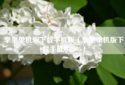 拳皇单机版下载手机版（拳皇单机版下载手机版2005）