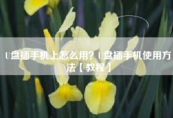 U盘插手机上怎么用？U盘插手机使用方法【教程】