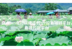 盘点2025年可以赚钱的APP拉新项目平台，靠谱拉新平台