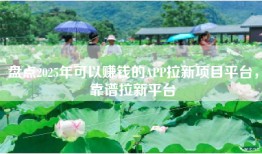 盘点2025年可以赚钱的APP拉新项目平台，靠谱拉新平台
