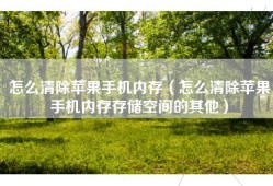 怎么清除苹果手机内存（怎么清除苹果手机内存存储空间的其他）