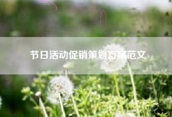 节日活动促销策划方案范文