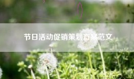 节日活动促销策划方案范文