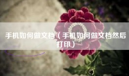 手机如何做文档（手机如何做文档然后打印）