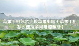 苹果手机怎么连接苹果电脑（苹果手机怎么连接苹果电脑蓝牙）