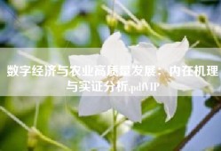 数字经济与农业高质量发展：内在机理与实证分析.pdfVIP