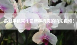 最新手机壳（最新手机壳的钩法视频）