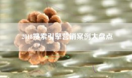 2018搜索引擎营销案例大盘点