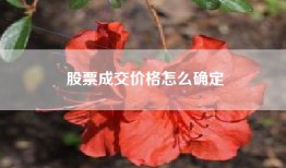 股票成交价格怎么确定