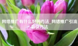 网络推广有什么好的方法_网络推广引流最快方法