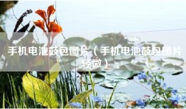 手机电池鼓包图片（手机电池鼓包图片轻微）