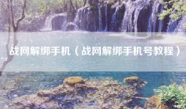 战网解绑手机（战网解绑手机号教程）