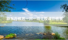 新东方雅思一对一线上授课价格表