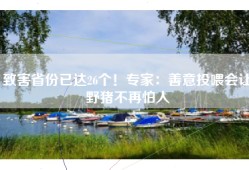 致害省份已达26个！专家：善意投喂会让野猪不再怕人