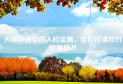 人脸识别中的人脸监测、定位校准和对比等技术
