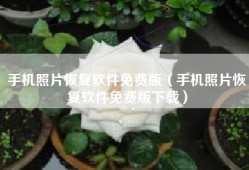 手机照片恢复软件免费版（手机照片恢复软件免费版下载）