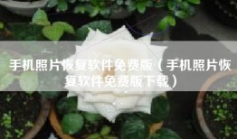手机照片恢复软件免费版（手机照片恢复软件免费版下载）