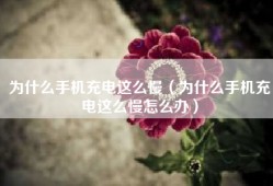 为什么手机充电这么慢（为什么手机充电这么慢怎么办）